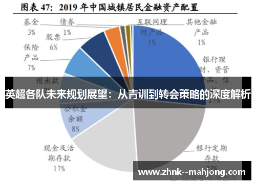 英超各队未来规划展望：从青训到转会策略的深度解析